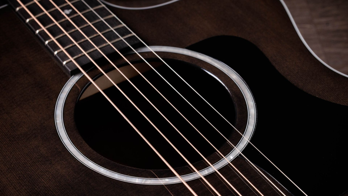 Taylor 214ce Plus Special Edition translucent grey